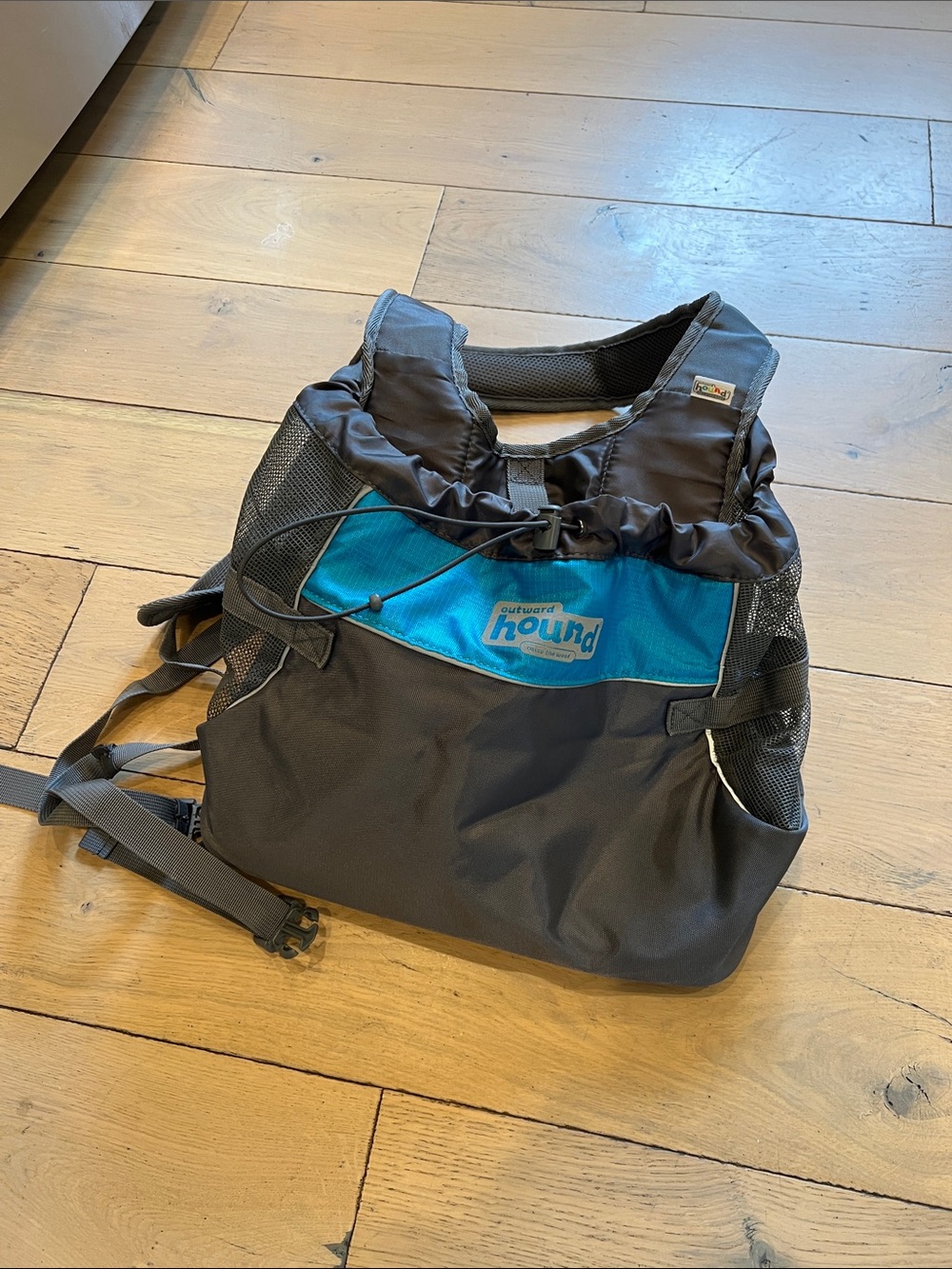 Outward Hound Teal and Gray Pet Travel Backpack